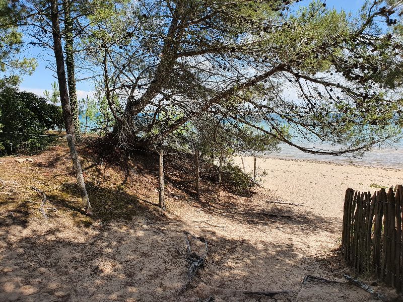 Photo 30 : NC d'une maison située à Saint-Clement, île de Ré.