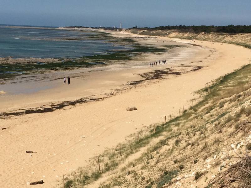 Photo 23 : NC d'une maison située à Saint-Clement, île de Ré.