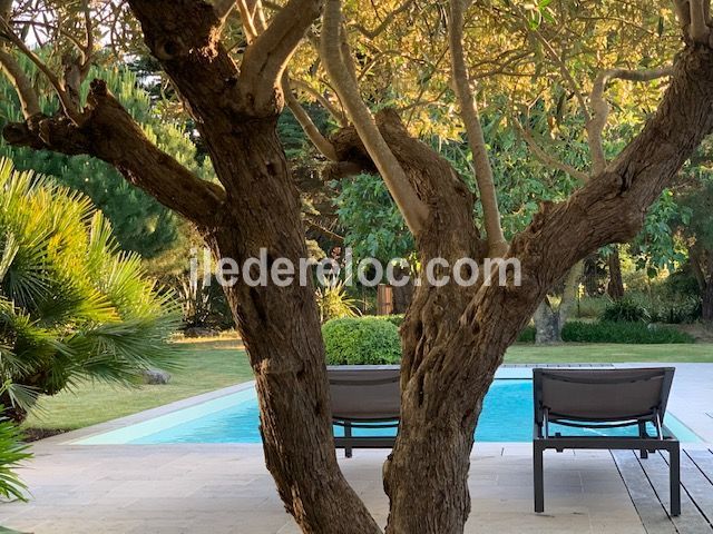 Photo 2 : TERRASSE d'une maison située à La Couarde-sur-mer, île de Ré.