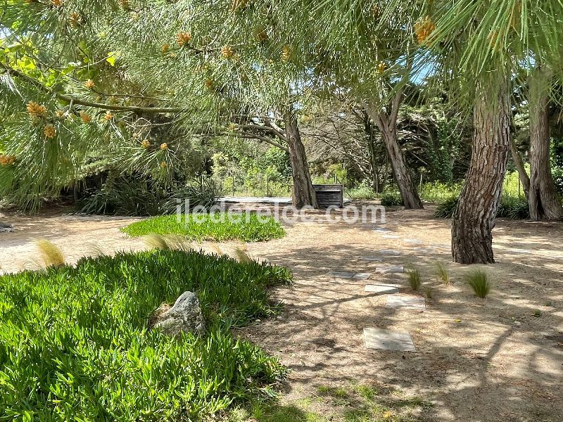 Photo 5 : JARDIN d'une maison située à La Couarde-sur-mer, île de Ré.