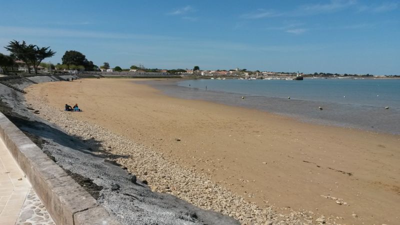 Photo 12 : NC d'une maison située à La Flotte-en-Ré, île de Ré.