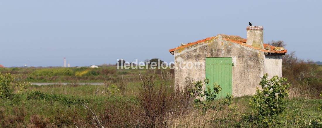 Photo 29 : NC d'une maison située à La Couarde, île de Ré.