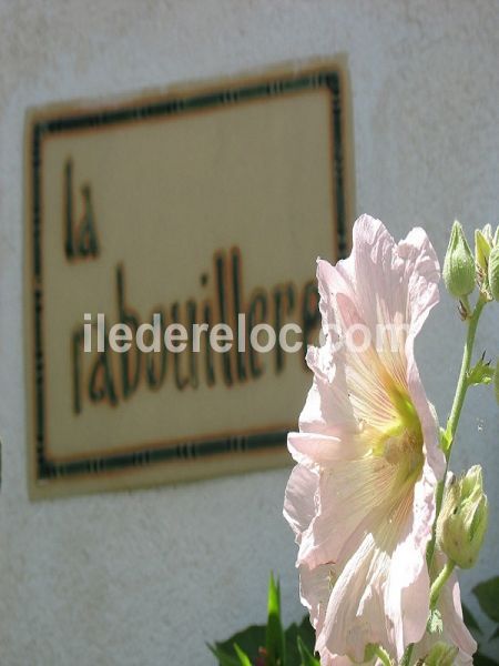 Photo 24 : AUTRE d'une maison située à Le Bois-Plage-en-Ré, île de Ré.