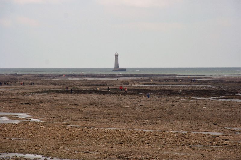 Photo 11 : AUTRE d'une maison située à Saint-Clément-des-Baleines, île de Ré.