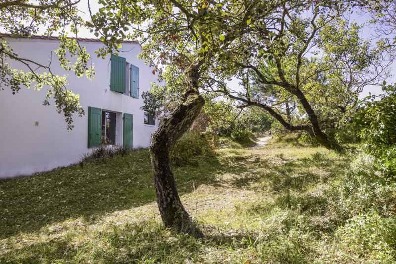 Photo 5 : NC d'une maison située à Le Bois-Plage-en-Ré, île de Ré.