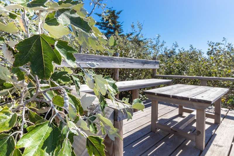 Photo 10 : NC d'une maison située à Le Bois-Plage-en-Ré, île de Ré.