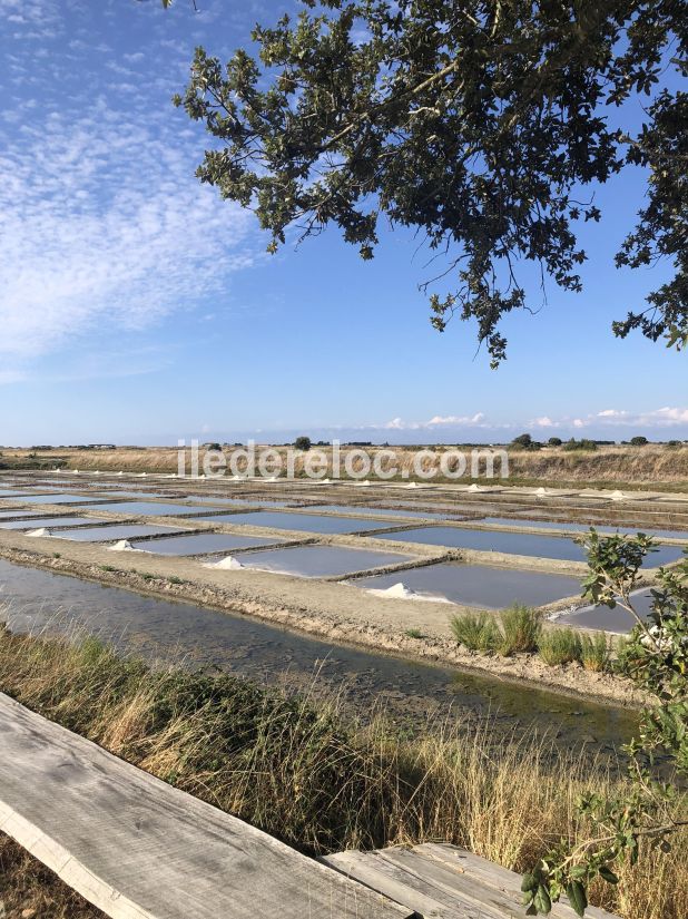 Photo 31 : AUTRE d'une maison situ&eacute;e &agrave; La Couarde-sur-mer, &icirc;le de R&eacute;.