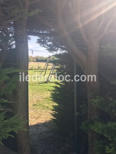 Photo 21 : JARDIN d'une maison située à La Couarde-sur-mer, île de Ré.