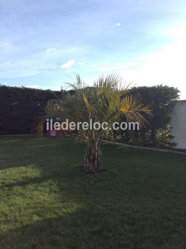 Photo 20 : JARDIN d'une maison située à La Couarde-sur-mer, île de Ré.