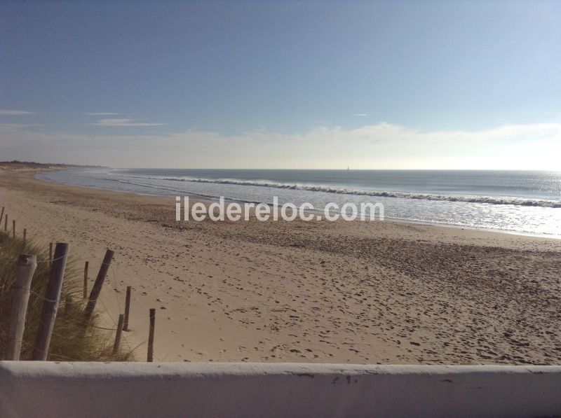 Photo 24 : EXTERIEUR d'une maison située à La Couarde-sur-mer, île de Ré.