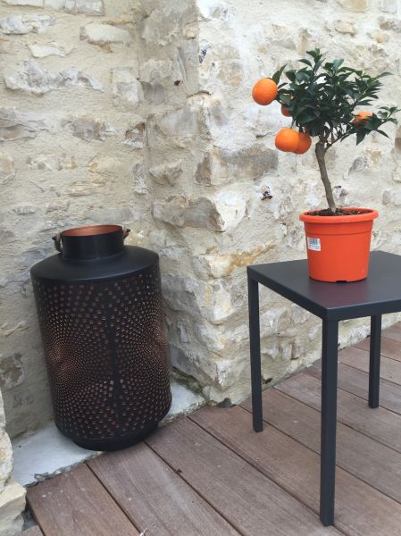 Photo 17 : PATIO d'une maison située à Le Bois-Plage-en-Ré, île de Ré.