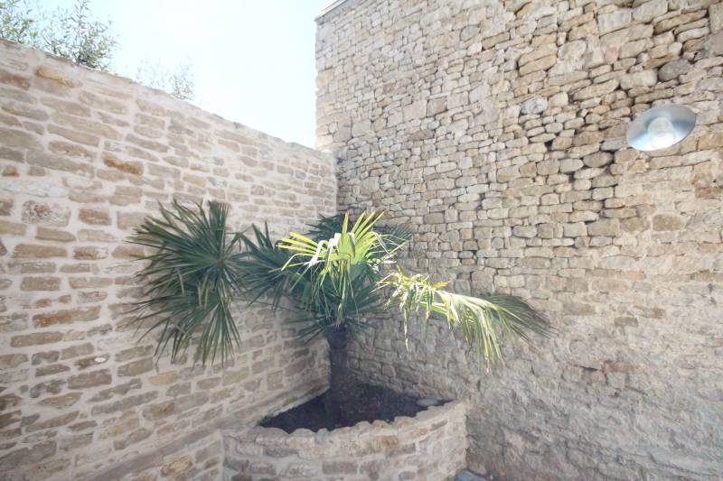 Photo 6 : TERRASSE d'une maison située à Ars en Ré, île de Ré.