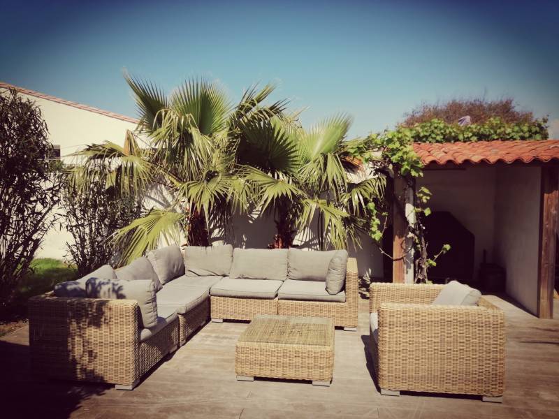 Photo 32 : TERRASSE d'une maison située à La Couarde-sur-mer, île de Ré.