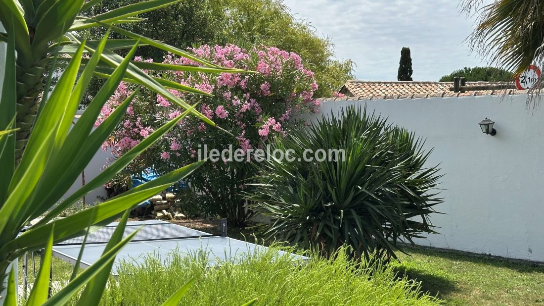 Photo 10 : NC d'une maison située à La Couarde-sur-mer, île de Ré.