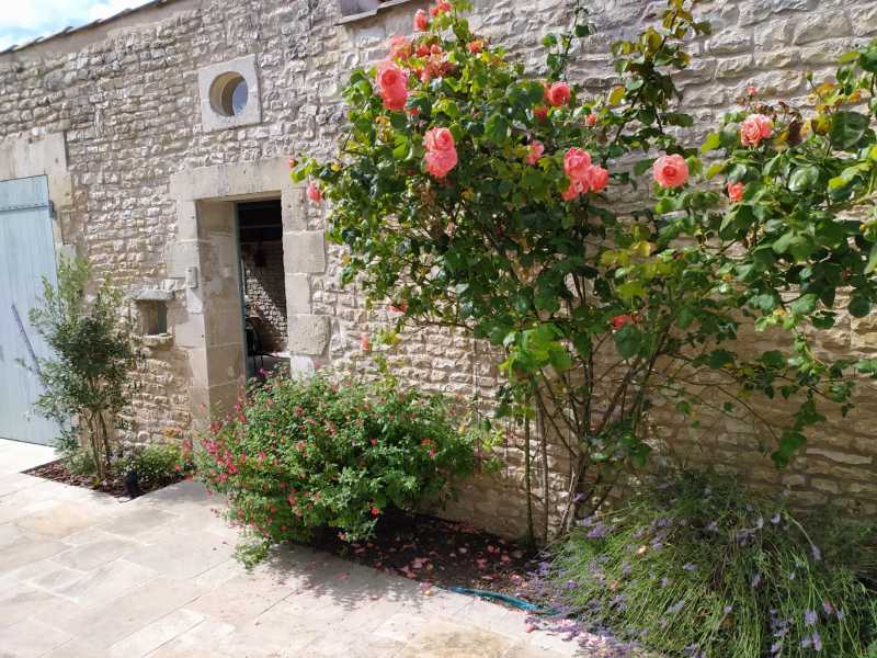 Photo 19 : NC d'une maison située à Le Bois-Plage-en-Ré, île de Ré.