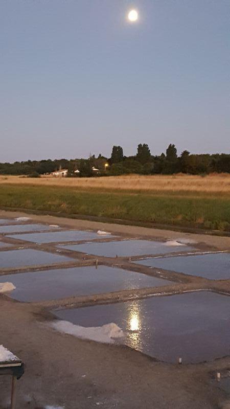 Photo 23 : NC d'une maison située à La Flotte-en-Ré, île de Ré.