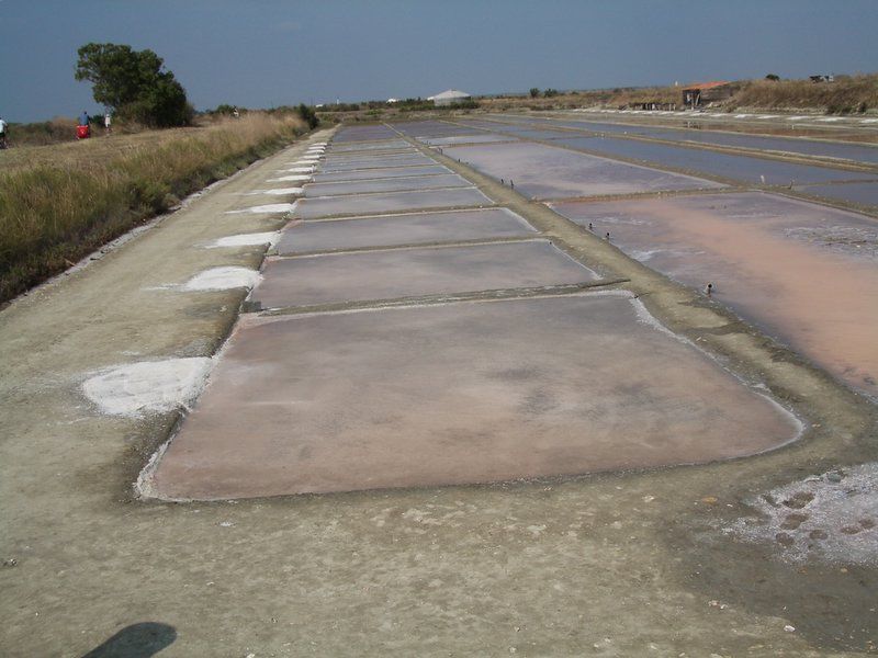 Photo 16 : AUTRE d'une maison située à Le Bois-Plage-en-Ré, île de Ré.