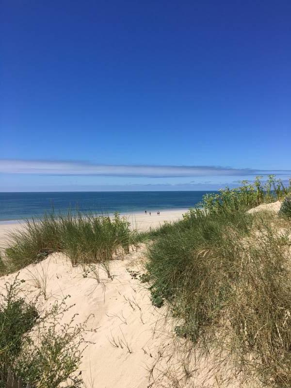 Photo 15 : AUTRE d'une maison située à Le Bois-Plage-en-Ré, île de Ré.