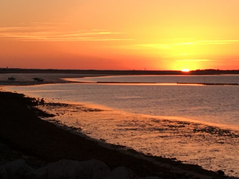 Photo 18 : NC d'une maison située à La Flotte-en-Ré, île de Ré.