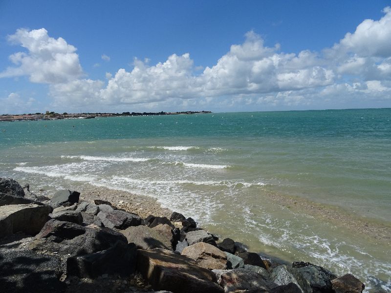 Photo 17 : AUTRE d'une maison située à Sainte-Marie-de-Ré, île de Ré.