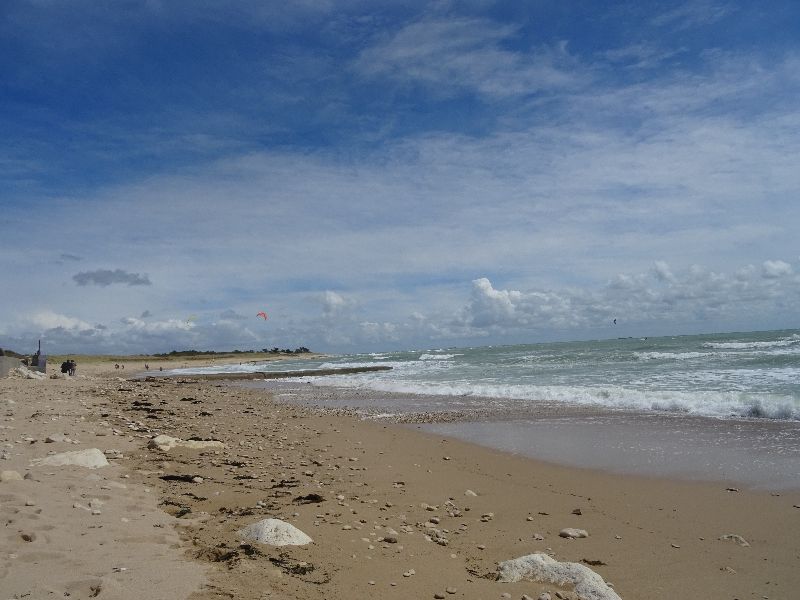 Photo 16 : AUTRE d'une maison située à Sainte-Marie-de-Ré, île de Ré.