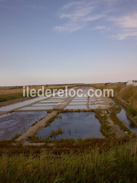 Photo 24 : AUTRE d'une maison située à La Flotte-en-Ré, île de Ré.