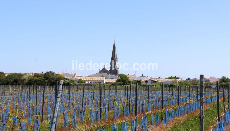 Photo 23 : AUTRE d'une maison située à Sainte-Marie-de-Ré, île de Ré.