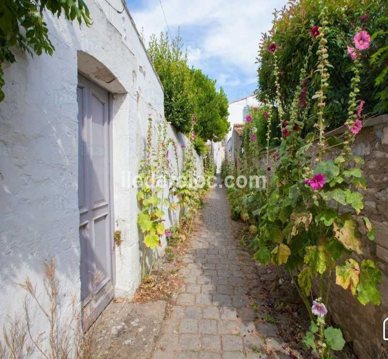 Photo 24 : AUTRE d'une maison située à Sainte-Marie-de-Ré, île de Ré.