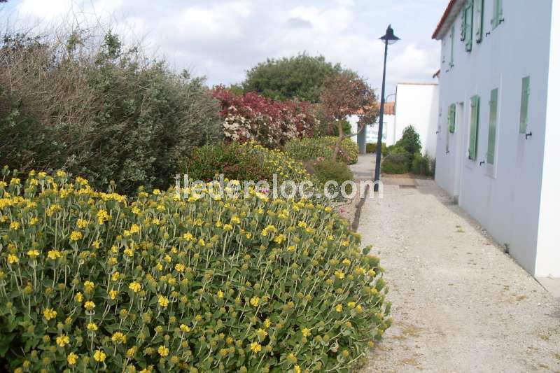 Photo 6 : EXTERIEUR d'une maison située à Ars en Ré, île de Ré.