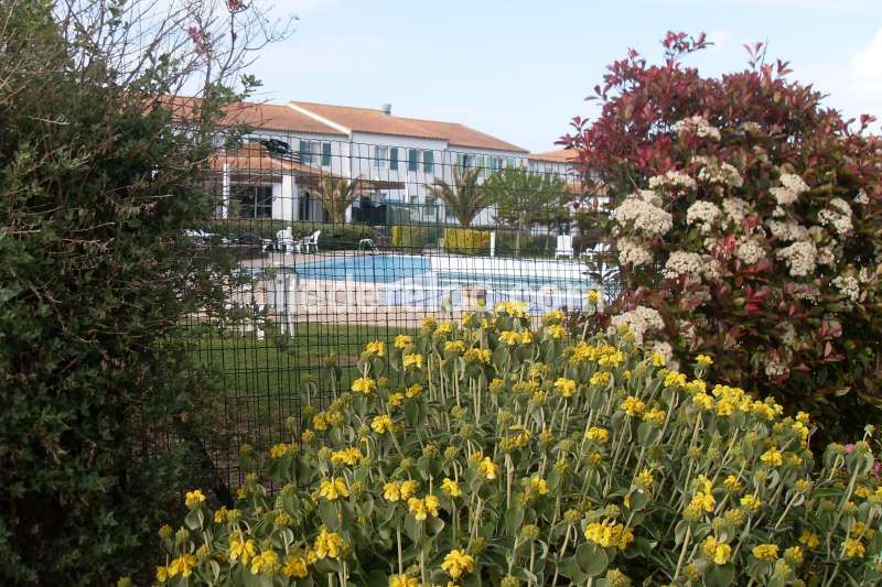 Photo 8 : PISCINE d'une maison située à Ars en Ré, île de Ré.