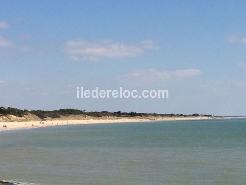 Photo 30 : NC d'une maison située à Loix, île de Ré.