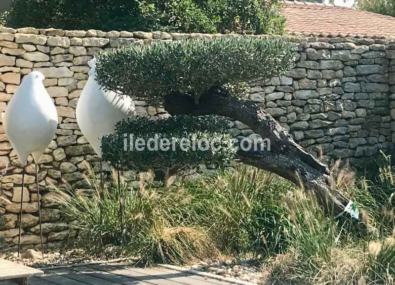 Photo 9 : NC d'une maison située à Loix, île de Ré.