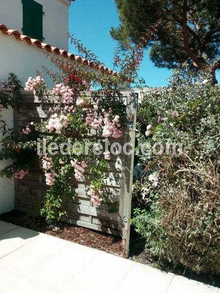 Photo 7 : NC d'une maison située à Ars en Ré, île de Ré.