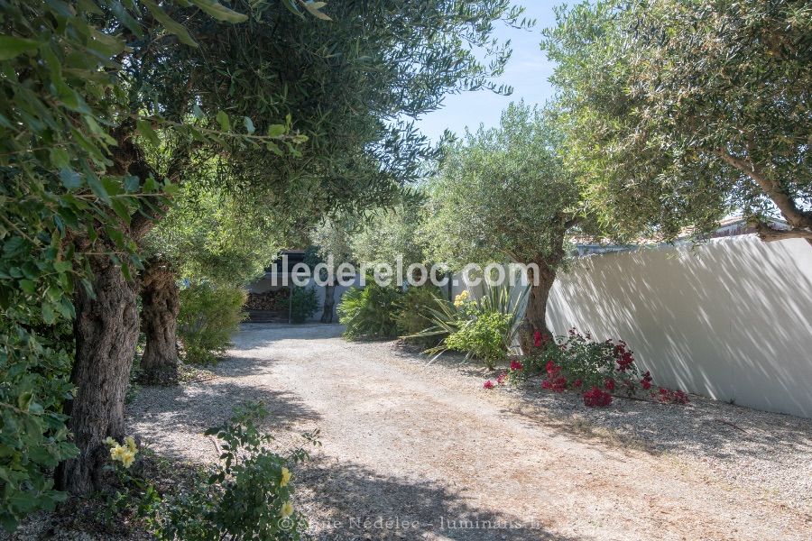 Photo 27 : EXTERIEUR d'une maison située à La Couarde, île de Ré.