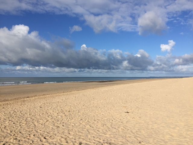 Photo 29 : NC d'une maison située à Le Bois-Plage-en-Ré, île de Ré.