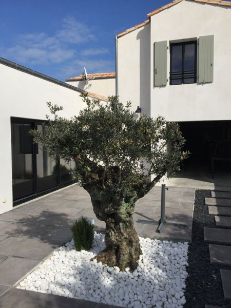 Photo 3 : NC d'une maison située à Le Bois-Plage, île de Ré.