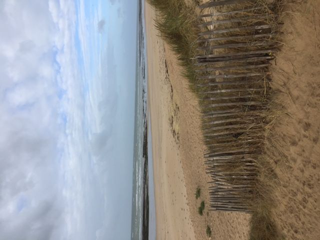 Photo 30 : NC d'une maison située à Le Bois-Plage-en-Ré, île de Ré.