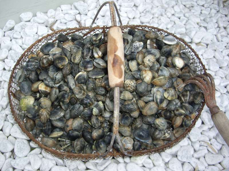 Photo 15 : AUTRE d'une maison située à Saint-Clément-des-Baleines, île de Ré.