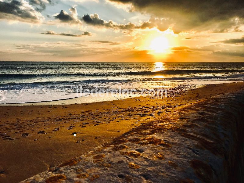 Photo 35 : NC d'une maison située à Le Bois-Plage-en-Ré, île de Ré.