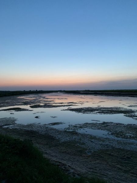 Photo 29 : NC d'une maison située à Loix, île de Ré.