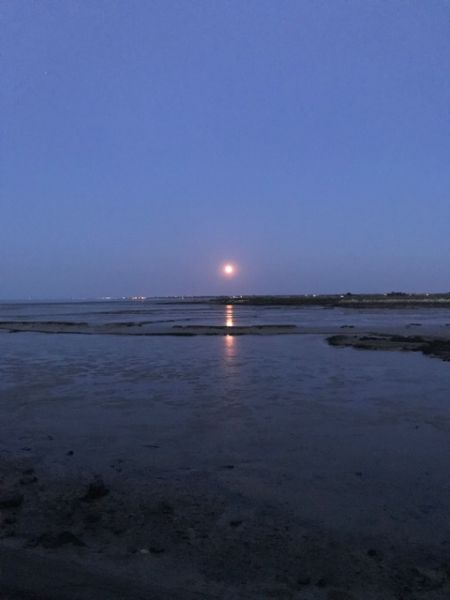 Photo 27 : NC d'une maison située à Loix, île de Ré.