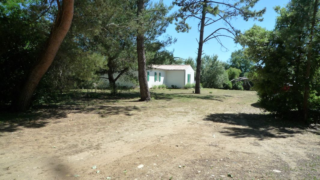 Photo 5 : NC d'une maison située à Les Portes-en-Ré, île de Ré.