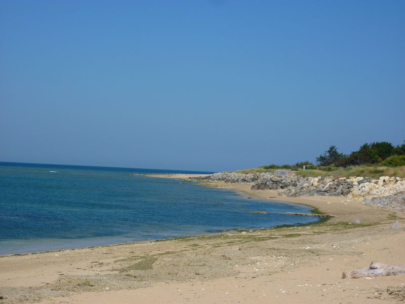 Photo 11 : NC d'une maison située à Ars, île de Ré.