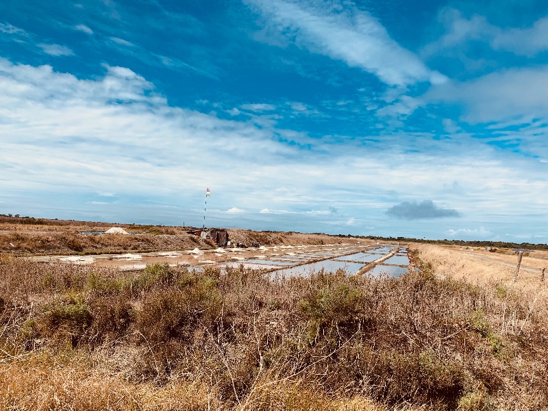 Photo 31 : NC d'une maison située à La Couarde-sur-mer, île de Ré.