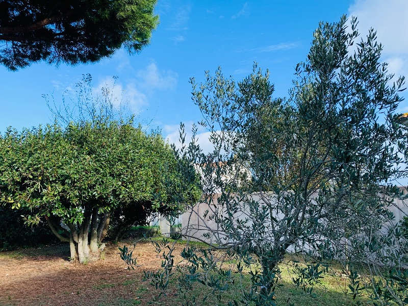 Photo 28 : NC d'une maison située à La Couarde-sur-mer, île de Ré.