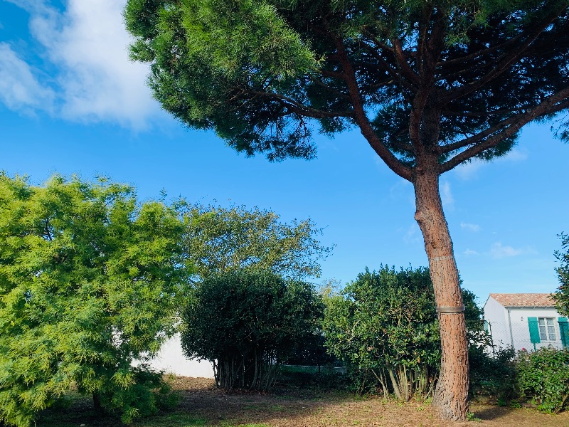 Photo 20 : NC d'une maison située à La Couarde-sur-mer, île de Ré.