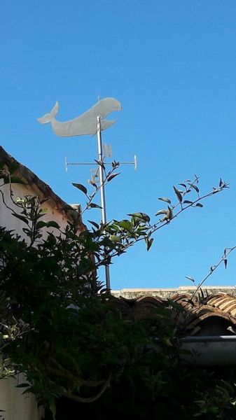 Photo 27 : NC d'une maison située à La Couarde-sur-mer, île de Ré.