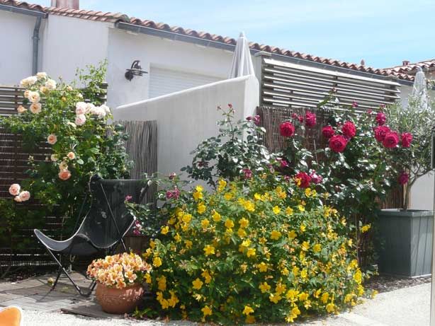 Photo 10 : JARDIN d'une maison située à La Flotte-en-Ré, île de Ré.