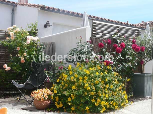 Photo 14 : JARDIN d'une maison située à La Flotte-en-Ré, île de Ré.