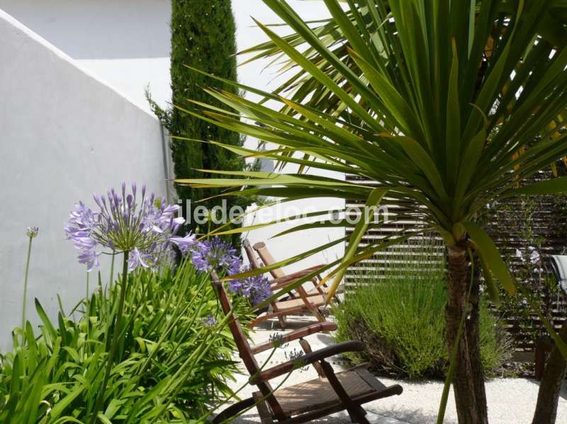 Photo 7 : NC d'une maison située à La Flotte-en-Ré, île de Ré.